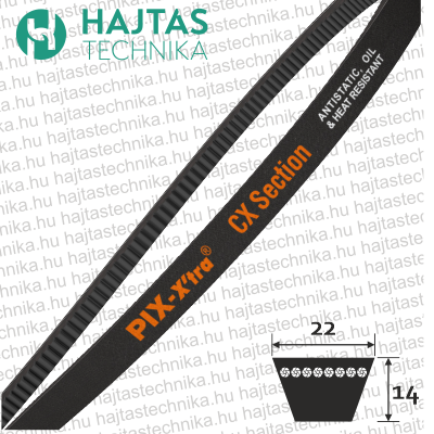 22X14 ( CX ) FOGAZOTT 0